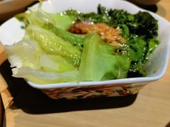 蚝油生菜-裕鼎鲜·新中菜(金鼎广场店)