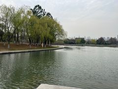 -苏州东太湖生态园
