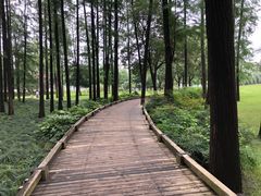 -月湖风景区
