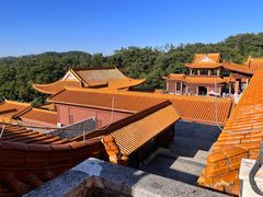 -深圳仙湖植物园