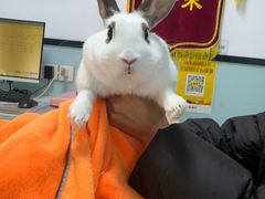 -嘉馨宠物医院·CT影像转诊·心脏科·犬猫全科诊疗中心(下沙大学城院区)