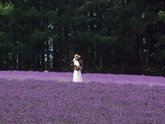 -富田农场
