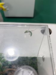 -神奇动物撸宠馆·羊驼·小浣熊·异宠(豫园店)