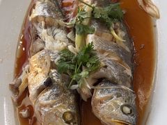 -日照大牌檔•小船海鲜(万平口店)