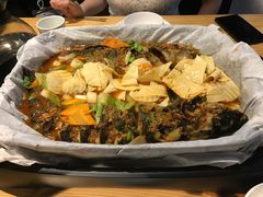 -鱼颜诱纸纸上烤鱼·蛙(龙湖天街店)