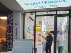 -白色日记·手作酸奶(麦凯乐店)