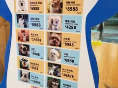 -龟与熊猫宠物公园(南坪店)