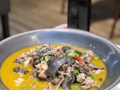 招牌状元藤椒甲鱼牛蛙-十碗(保利店)