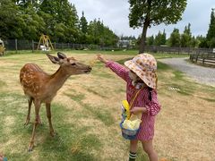 -前小桔亲子创意农场·草莓采摘·露营烧烤