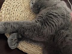 -拜鲁耶动物诊疗中心·宠家动物医院