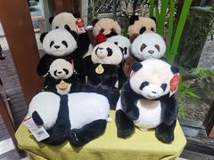 -轩客会(熊猫书店)