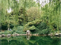 -趵突泉景区