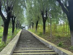 -青龙湖公园