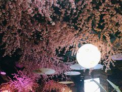 -韵秋荷(宝山龙湖天街店)
