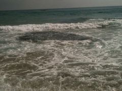 -白沙湾海滩