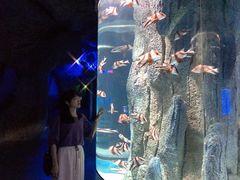 -福州罗源湾海洋世界旅游区