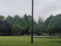 -温江公园