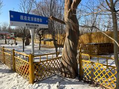 -1982农场