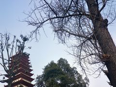-宝光寺