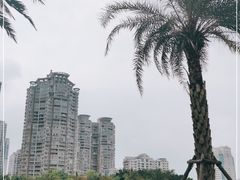 -白鹭洲公园