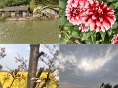 -西吴河科普公园