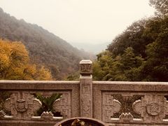 -韬光茶庵