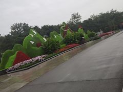 -沈阳植物园