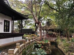 -上海醉白池公园