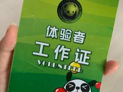 -中国大熊猫保护研究中心雅安碧峰峡基地