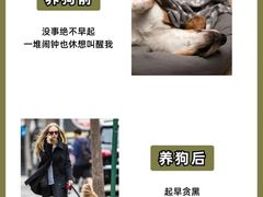 -美联众合爱康动物医院•复杂内科•肿瘤科•牙科•腔镜诊疗中心