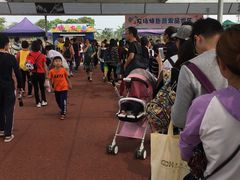 -迪茵湖田家舍生态农场