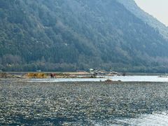 -腾冲北海湿地