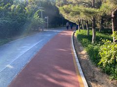 -大兴滨河森林公园