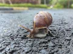 -海南铜鼓岭景区