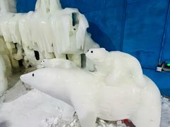 -宁波冰雪大世界(北仑区)