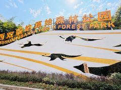 -西双版纳原始森林公园