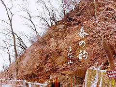 -少华山国家森林公园