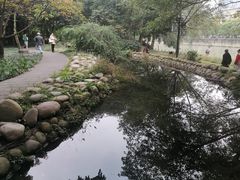 -成都市活水公园