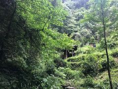 -青城山