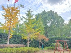 -金山农民画村-枫泾波兰倒置屋