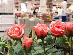 -宜家家居(西安未央商场店)