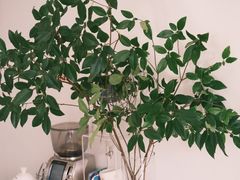 自助取餐区-五进制 Coffee Shop