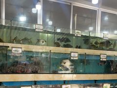-秋姐美食店(旅游大道店)