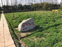 -上海长兴岛郊野公园