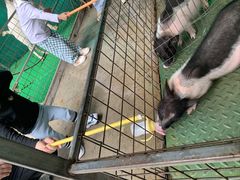-史努比缤纷世界