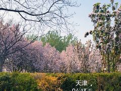 -泰丰公园