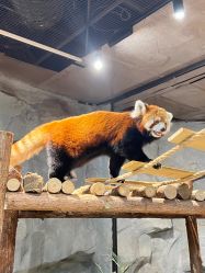 -Zoolung Zoolung动物主题公园(海信广场店)