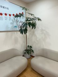 -HEYAN长风荷妍专业脱毛美肤
