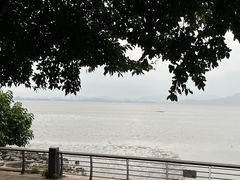 -希尔顿南海酒店·观廊大堂吧·海景下午茶
