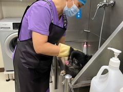 -北京观赏动物医院·24小时大型综合·猫专科·异宠专科